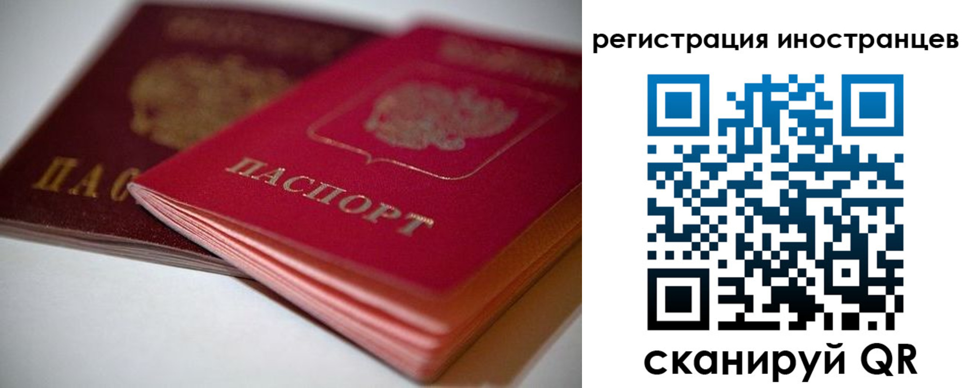 прописка штамп в Видном